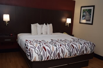 Superior Room, 1 King Bed, Non Smoking