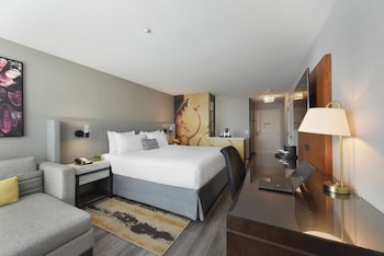 Standard Room, 1 King Bed, Accessible (Roll-In Shower)