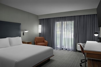 Room, 1 King Bed with Sofa bed, Balcony (Mobility/Hearing Access, Roll-In Shwr)