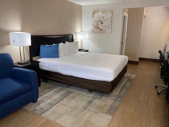 Standard Room, 1 King Bed with Sofa bed