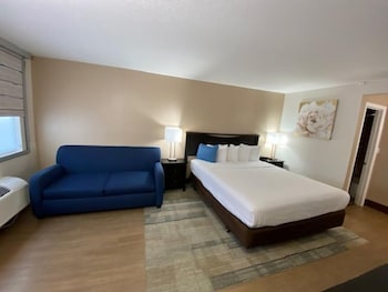 Standard Room, 1 King Bed with Sofa bed
