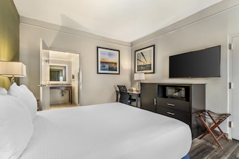 Standard Room, 1 Queen Bed, Accessible, Refrigerator & Microwave