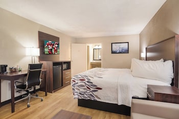 Deluxe Room, 1 King Bed, Accessible, Non Smoking (Roll-In Shower)
