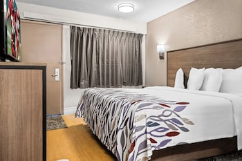 Standard Room, 1 King Bed (First Floor - Smoke Free)
