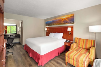 Room, 1 King Bed, Non Smoking