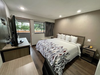 Standard Room, 1 King Bed, Non Smoking (Renovated)