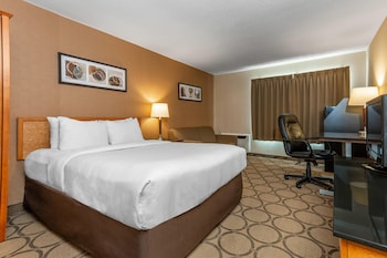 Standard Room, 1 Queen Bed, Non Smoking, Ground Floor (Pet Friendly)
