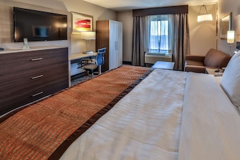 Suite, 1 King Bed, Non Smoking, Refrigerator & Microwave (with Sofabed)