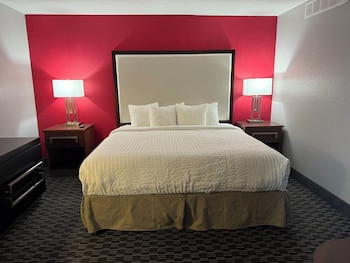 Suite, 1 King Bed