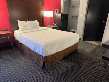 Room, 1 Queen Bed