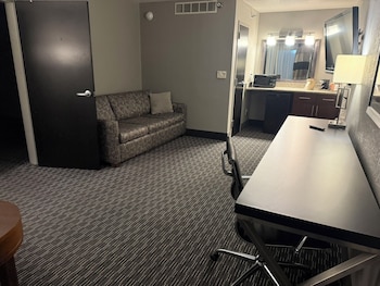 Suite, 1 King Bed
