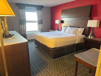 Room, 1 King Bed, Roll-in Shower
