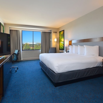 Room, 1 King Bed