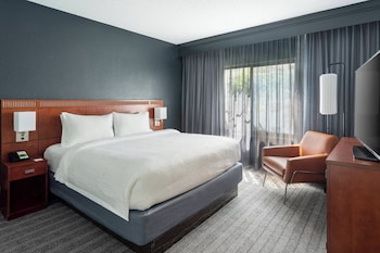 Room, 1 King Bed with Sofa bed