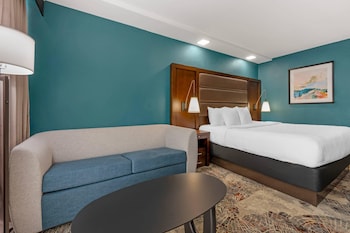 Standard Room, 1 King Bed, Non Smoking
