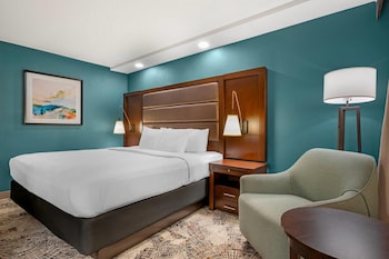 Room, 1 King Bed, Roll-in Shower, Non Smoking