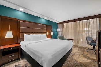 Room, 1 King Bed, Roll-in Shower, Non Smoking