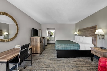 Room, 1 King Bed, Non Smoking