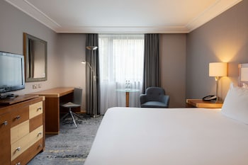 Room, 1 King Bed