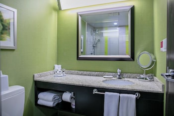 Premium Room, 1 King Bed, Accessible (Communication, Accessible Tub)