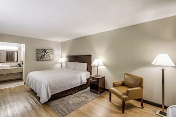 Deluxe Room, 1 King Bed, Refrigerator (Smoke Free)