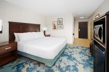 Room, 1 King Bed, Accessible, Non Smoking
