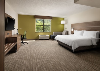 Suite, 1 King Bed
