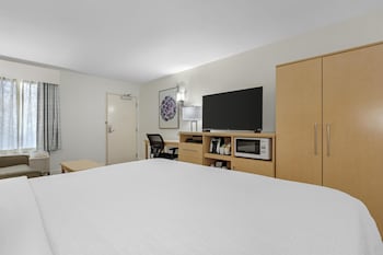 Standard Room, 1 King Bed, Refrigerator & Microwave, Mountain View (with Sofabed)