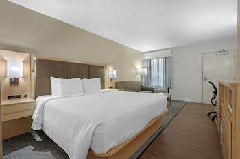 Standard Room, 1 King Bed, Refrigerator & Microwave, Mountain View (with Sofabed)
