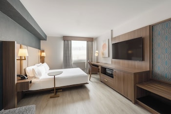 Standard Room, 1 King Bed, Accessible (Roll-In Shower)