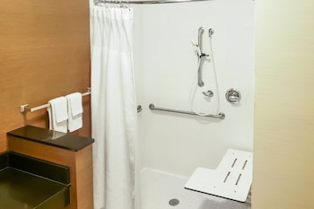 Room, 1 King Bed, Accessible Bathtub (Transfer Shower)