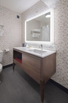 Standard Room, 1 King Bed, Roll-in Shower (Comm, Mobil, Roll Shwr)