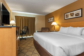 Room, 1 King Bed, Non Smoking