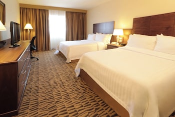 Standard Room, 2 Double Beds