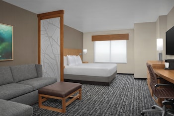 Room, 1 King Bed with Sofa bed (High Floor)