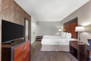 Standard Room, 1 King Bed, Non Smoking, Jetted Tub (with Sofabed)