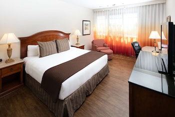 Room, 1 King Bed, Non Smoking