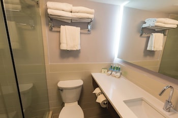 Suite, 1 King Bed