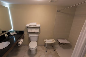 Standard Room, 1 Queen Bed, Accessible (Mobility)