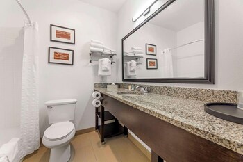 Suite, 1 King Bed with Sofa bed, Non Smoking