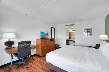 Standard Room, 1 King Bed, Accessible, Non Smoking