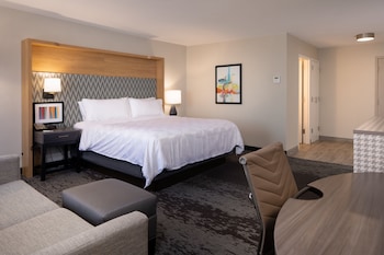 Standard Room, 1 King Bed, Accessible (Accessible Tub)