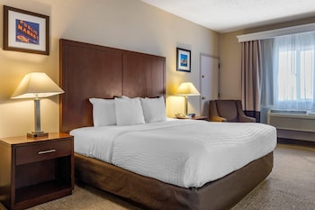 Suite, 1 King Bed with Sofa bed, Non Smoking