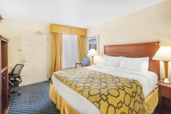 Room, 1 King Bed, Non Smoking