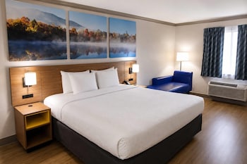 Room, 1 King Bed, Non Smoking (Walk-In Shower)
