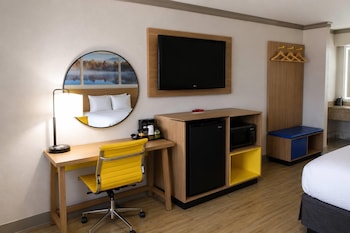 Room, 1 King Bed, Non Smoking (Walk-In Shower)