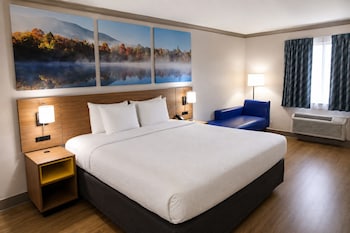 Room, 1 King Bed, Non Smoking (Walk-In Shower)