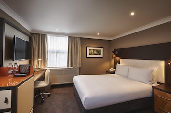 Room, 1 Queen Bed