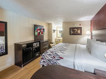 Deluxe Room, 1 King Bed, Non Smoking