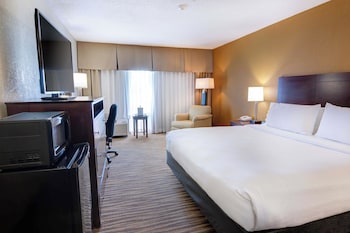 Standard Room, 1 King Bed, Accessible (Accessible Tub)